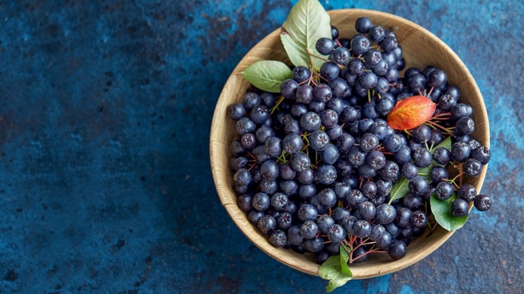 Aronia, comoara naturii, proprietăți și beneficii