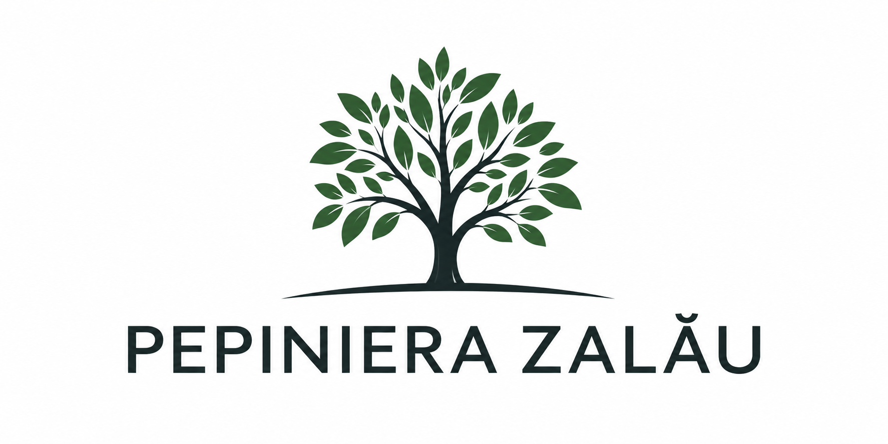 Pepiniera Zalău